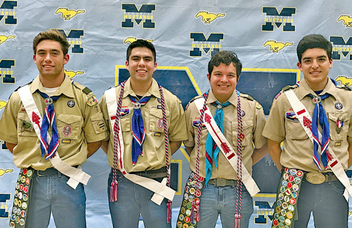 Tex scouts