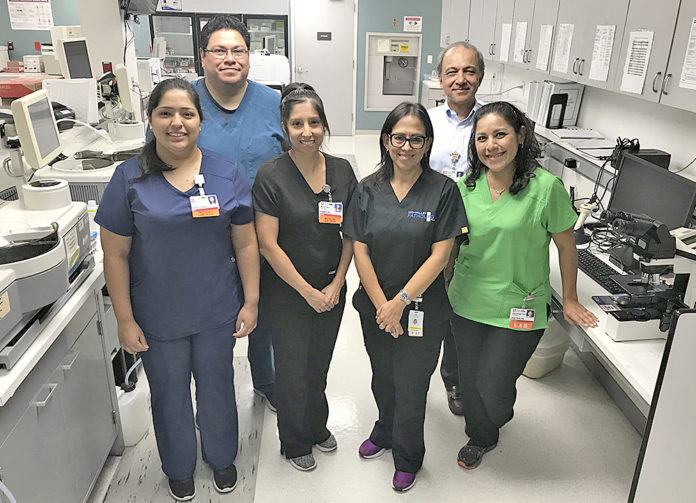 Guia Knapp lab