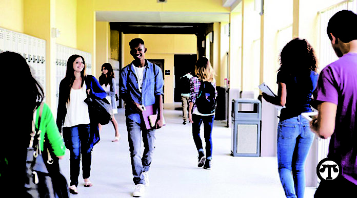 Tex Educacion opcion