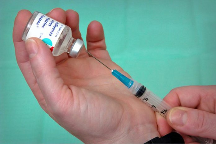 guia gripe estacional