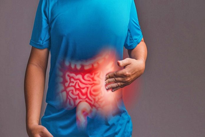 guia microbiota