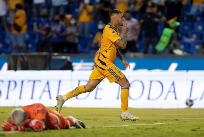 Tigres