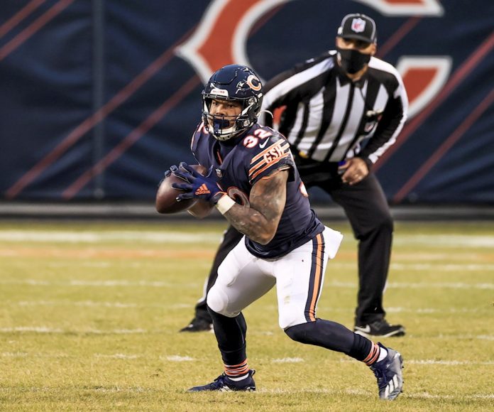 Bears