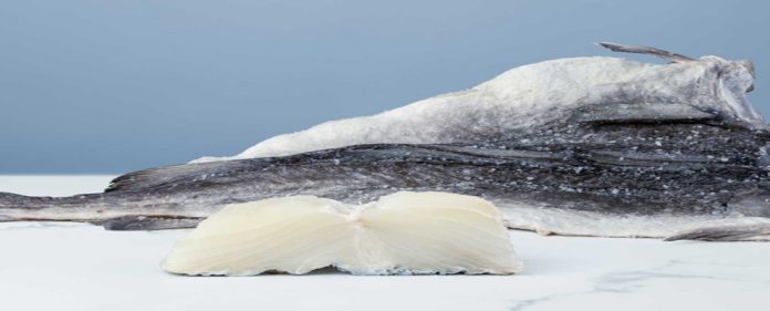 Bacalao jpg