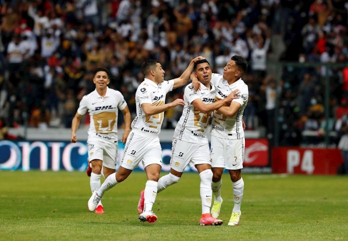 Pumas