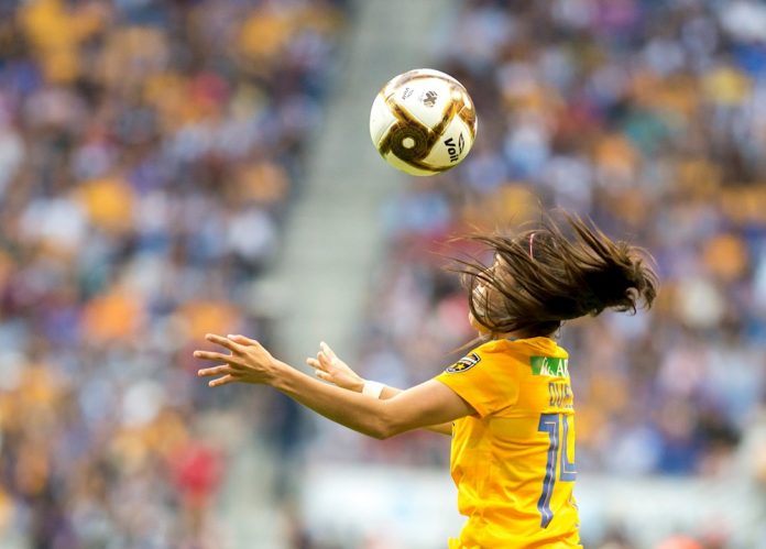 Tigres