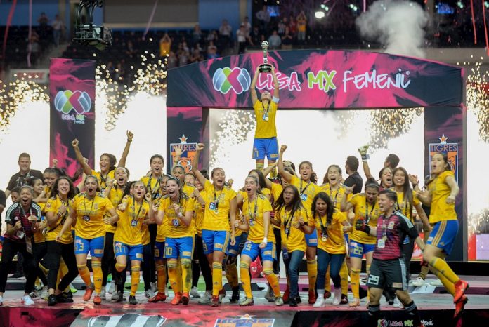 Tigres