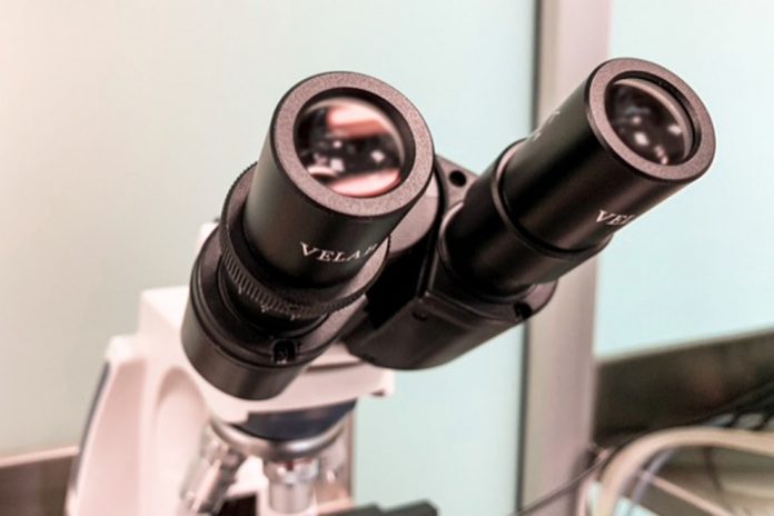 g. investigaciones jpg