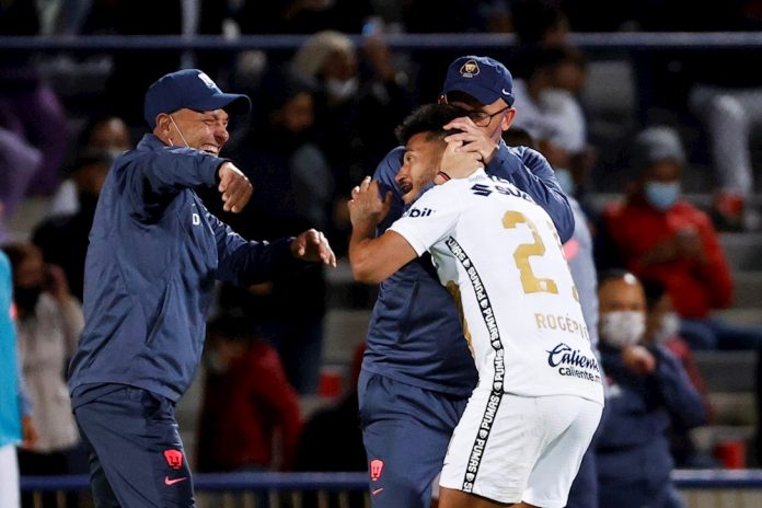 Pumas jpg