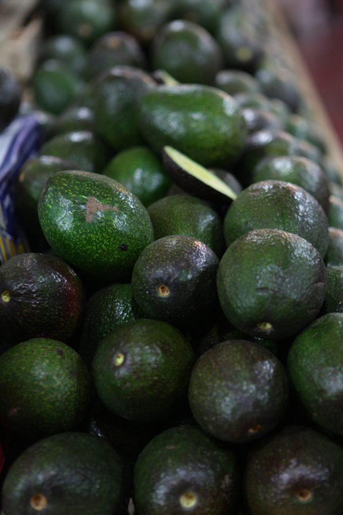 El estado mexicano de Michoacán no podrá enviar aguacates a Estados Unidos