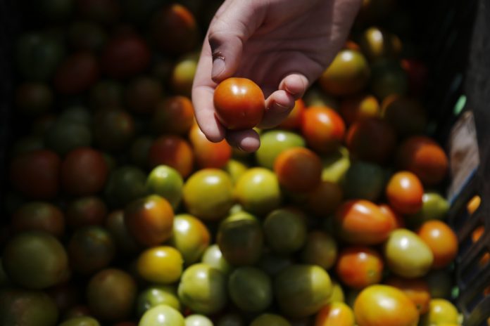 MÉXICO GASTRONOMÍA