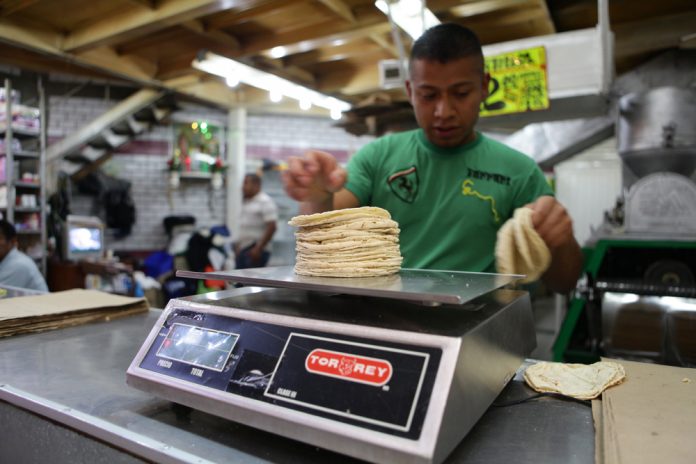 Alza en precio de maíz llevó a máximos históricos precio de tortilla mexicana