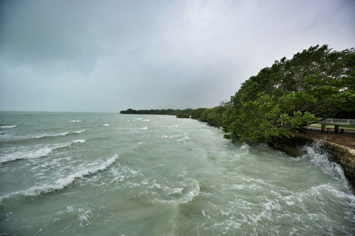 La tormenta tropical Celia se forma en costas del estado mexicano de Chiapas