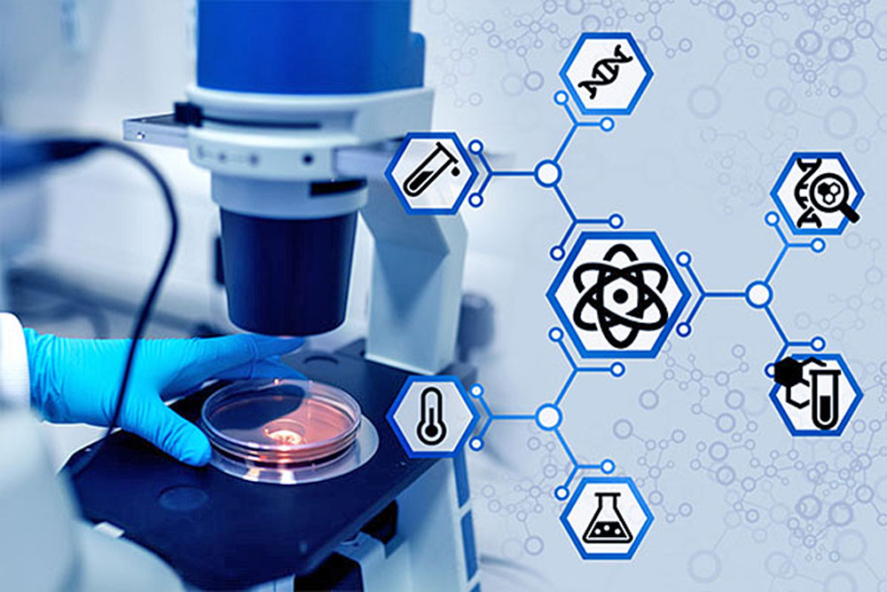 Festmény toldással Ők medio ambiente biotecnologia alkalmazkodás boka ...