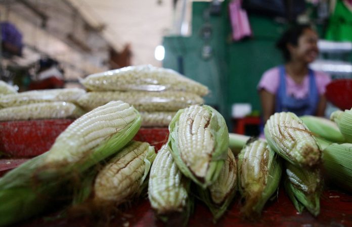 MÈxico puede bajar precios de alimentos con cultivo ancestral, dice experto