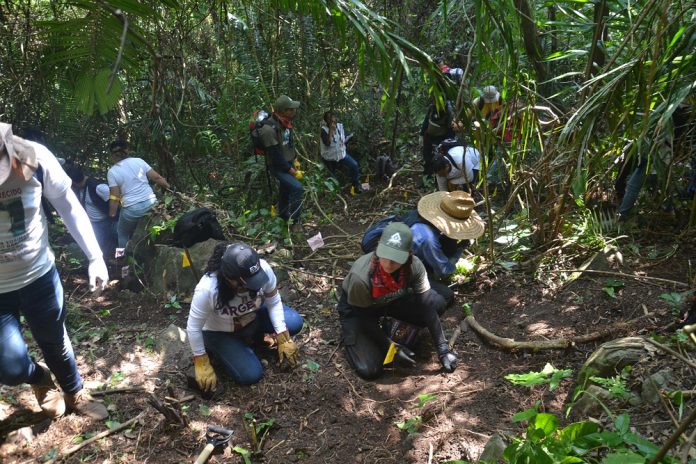 Más de 5.000 restos humanos encontrados en fosas de Veracruz en dos años