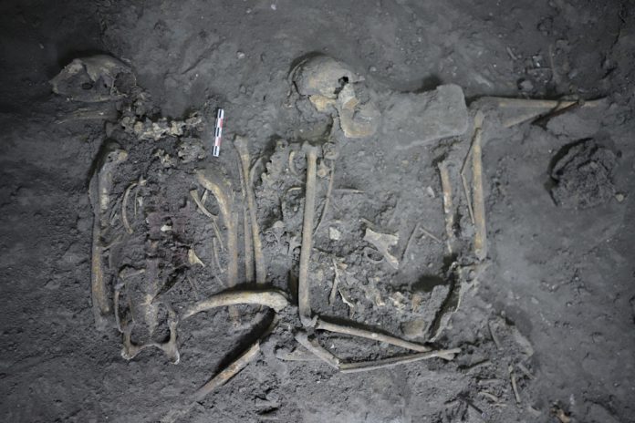 El mono araña y la diplomacia de regalos entre Teotihuacán y los mayas