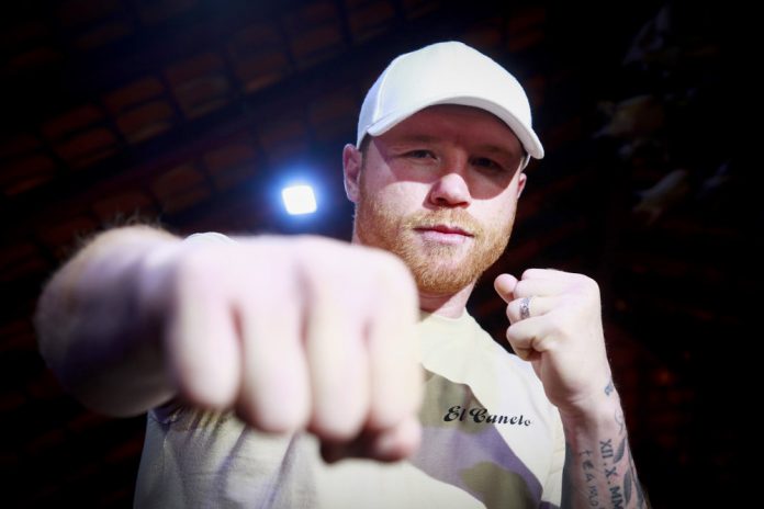 El Consejo Mundial no presionará a 'Canelo' Álvarez para que enfrente a David Benavidez