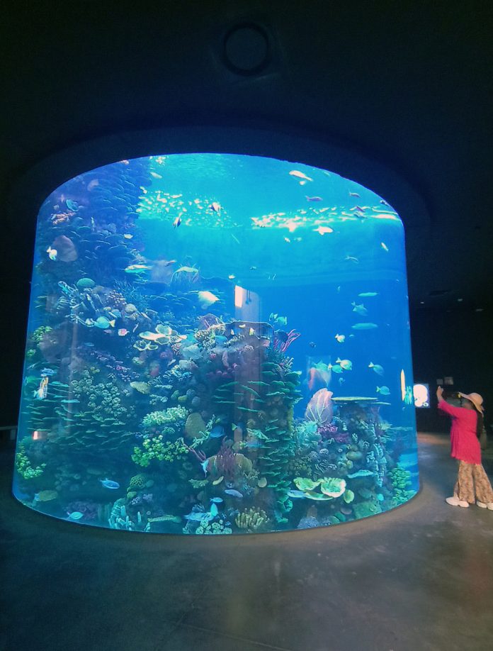 México abre el mayor acuario de América Latina, dedicado al Mar de Cortés